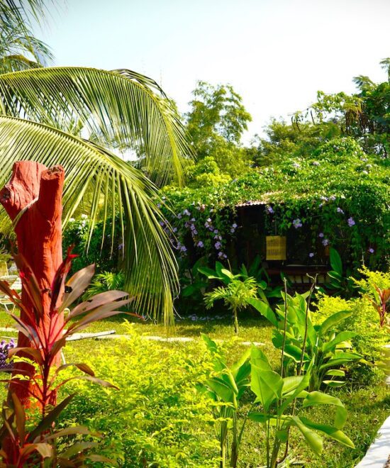 Mama Africa's Nature Oasis