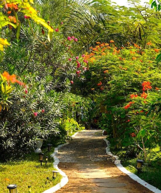 Lush Mama Africa Entrance